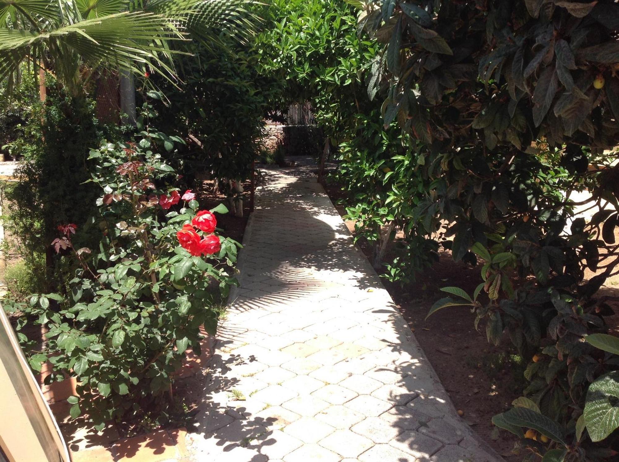 Ilkiz Beach Hotel Ölüdeniz Extérieur photo
